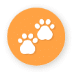Animaux