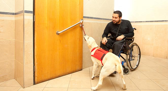 Les chiens d’assistance pour les personnes à mobilité réduite