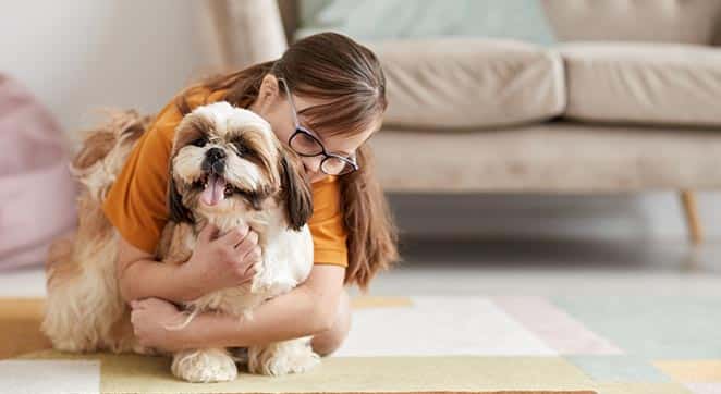 Les chiens d’assistance de soutien émotionnel