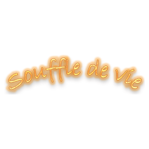 Logo associations souffle de vie
