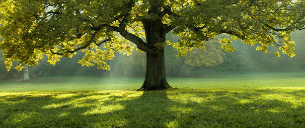 Ressources obsèques 10 hommage