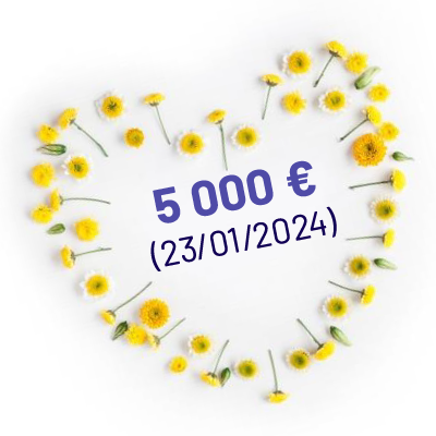 Rapport d'impact 7 Image link