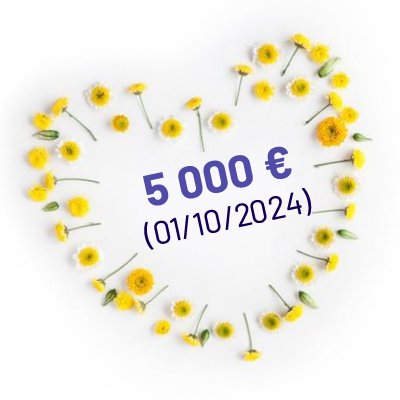 Rapport d'impact 9 Image link