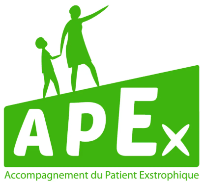 APEX 1 image