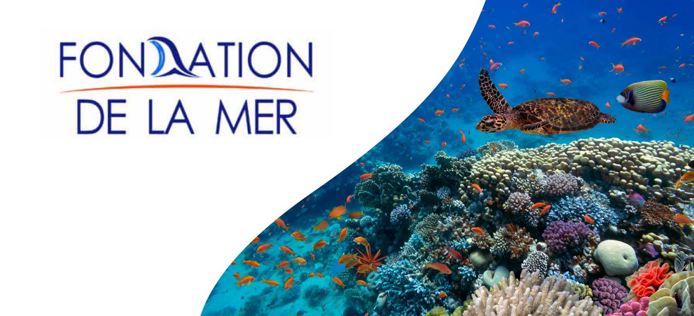 Fondation de la Mer