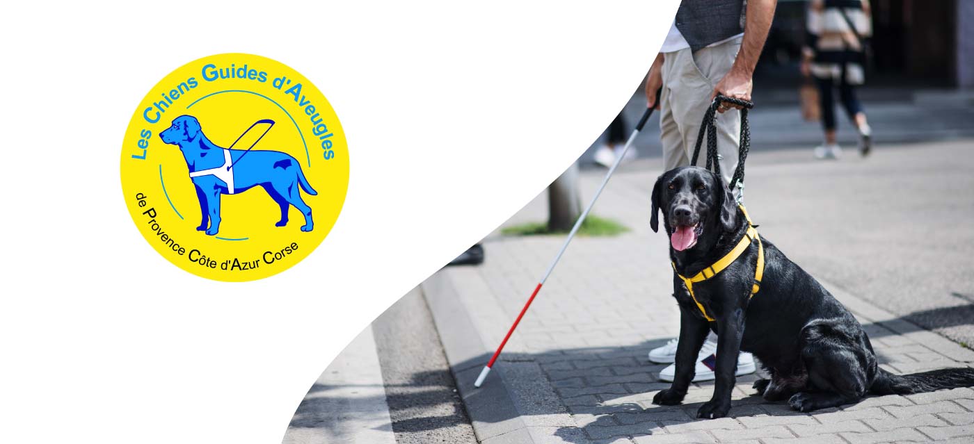 Les Chiens Guides d'Aveugles