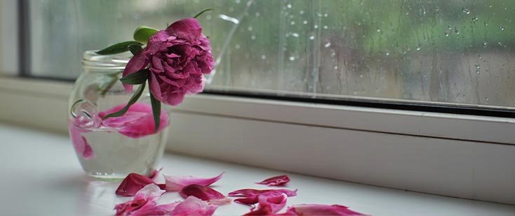 10 choses à ne pas dire à une personne endeuillée 8 C’est la vie